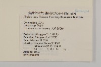 大葉南蛇藤藏品圖，第2張