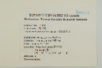 淡綠葉衛矛藏品圖，第2張