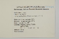 大丁黃藏品圖，第2張