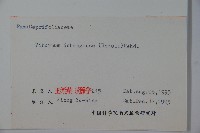 宜昌莢迷藏品圖，第2張