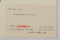 珍珠蒿、奇蒿藏品圖，第3張