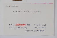 八角楓藏品圖，第2張