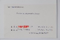 黃連木、爛心木藏品圖，第2張