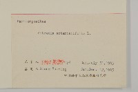 豬草、瘤果菊藏品圖，第2張