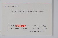 九頭獅子草藏品圖，第2張