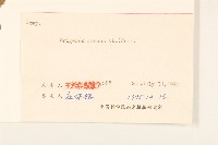 白頂飛蓬藏品圖，第2張