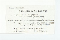 四照花藏品圖，第2張