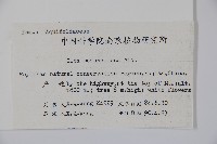 刻脈冬青藏品圖，第2張