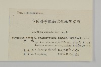 江南山柳藏品圖，第2張