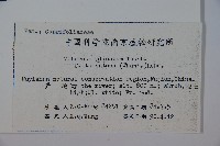 蝴蠂莢迷藏品圖，第2張