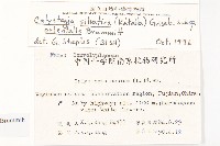 登錄號:S020511藏品圖，第2張