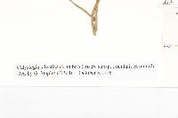 登錄號:S020511藏品圖，第3張