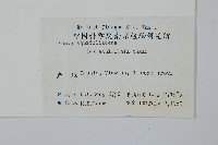 鼠李冬青、滿樹星藏品圖，第2張