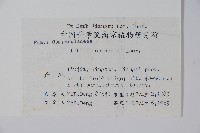 半邊蓮、鐮磨仔草藏品圖，第2張