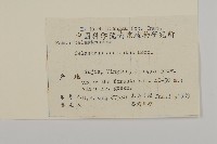 過山楓藏品圖，第2張