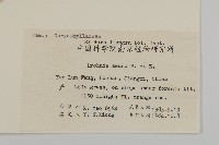 剪秋羅、剪秋紗、漢宮秋藏品圖，第2張