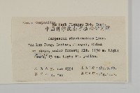 天名精藏品圖，第2張