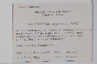 紅果羅浮槭藏品圖，第2張