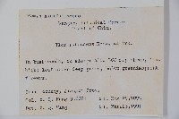 密毛假黃楊藏品圖，第2張