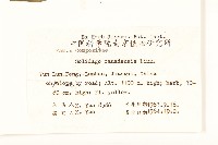 美洲一枝黃花藏品圖，第2張