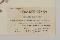 香青藏品圖，第2張