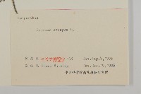 紅淡比藏品圖，第3張