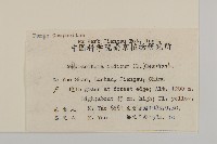 油菊、野菊藏品圖，第2張