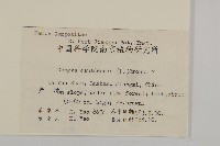 加拿大蓬藏品圖，第2張