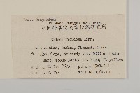 大狼把草藏品圖，第2張