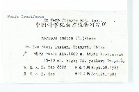 葶藶藏品圖，第2張