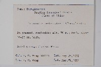 附地菜藏品圖，第2張