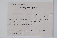 木蜡樹、野漆樹藏品圖，第2張