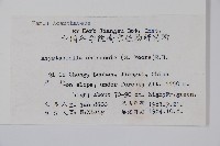 擬馬偕花、白接骨藏品圖，第2張