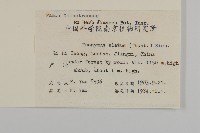 衛矛藏品圖，第2張