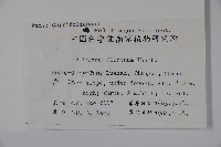 莢迷藏品圖，第2張