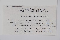 柳葉牛膝藏品圖，第2張