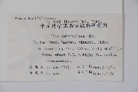 刻脈冬青藏品圖，第2張