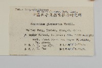 球序卷耳藏品圖，第2張