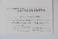 半邊蓮、鐮磨仔草藏品圖，第2張