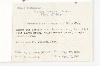 尖葉四照花藏品圖，第2張