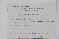 毛花楊桃藏品圖，第2張