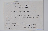 雲山金角楓藏品圖，第2張