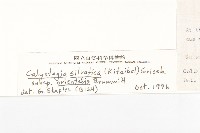 登錄號:S020864藏品圖，第3張