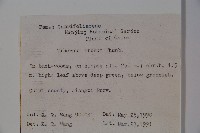 松田氏莢迷、宜昌莢迷藏品圖，第2張