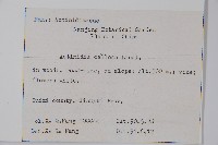 硬齒獼猴桃藏品圖，第2張