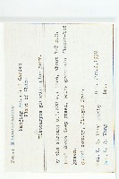 禿瓣杜英藏品圖，第2張