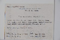 香冬青藏品圖，第2張