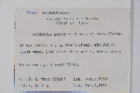 木天蓼、葛棗獼猴桃、葛棗子藏品圖，第2張