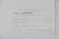 厚葉冬青藏品圖，第2張