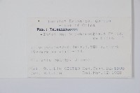 睫毛萼鳳仙花藏品圖，第2張